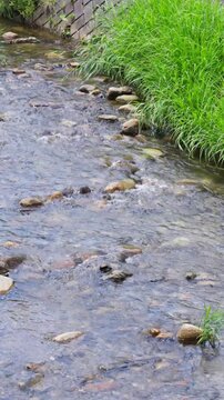 澄んだ小川のせせらぎ 浅瀬を流れる水と川辺の緑の草 縦型動画
Clear water flowing through a shallow creek with green grass on the riverbank,
vertical video