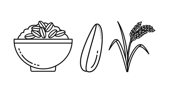 Rice grains bowl and stalk illustration in black line art style