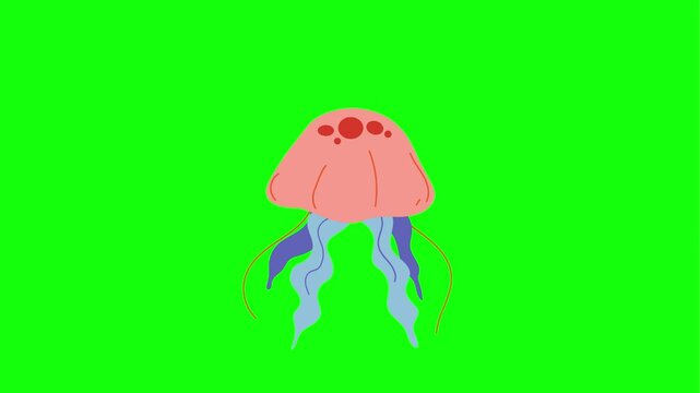 Cute animated sea animals set including an octopus and jellyfish on a green screen background