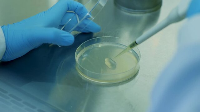 Micropipette Dispensing onto Agar Petri Dish