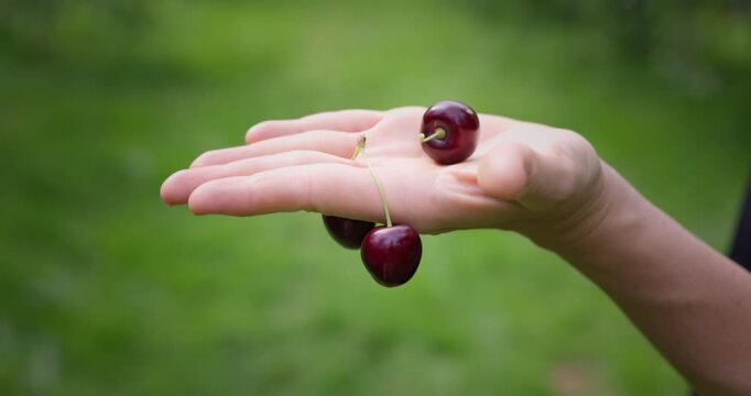 Offene Hand mit Kirschen auf Fingern