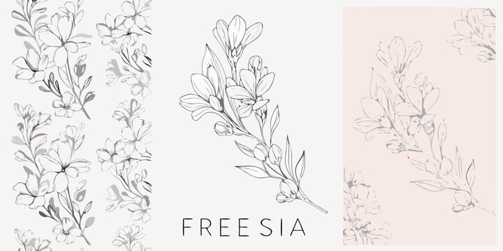 Freesia Flower Collection Hand Drawn Vector Illustration With Light Pink Background