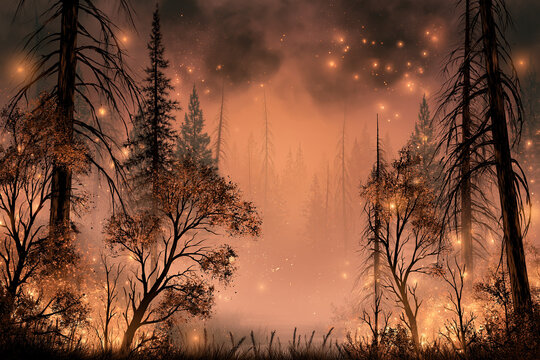 Post wildfire forest landscape with smoky skies, burnt trees and glowing embers