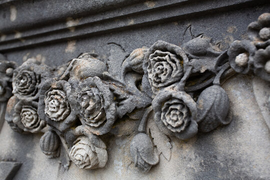 Sedum sur un mur avec mousse 