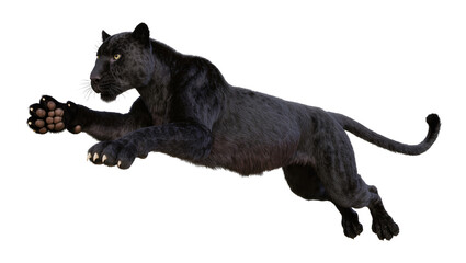 Black panther leaping with claws extended and yellow eyes © Antonio