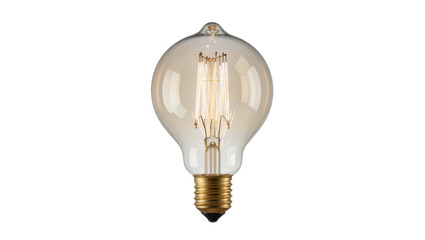 Edison light bulb with visible filament and brass base