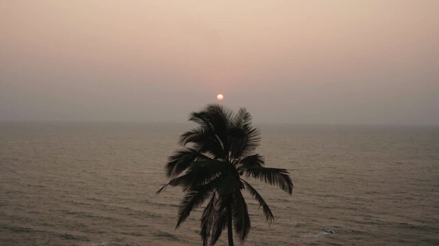 Majestic view of a lone palm tree silhouetted against the sea with its fronds blowing in the wind as the sun sets over the ocean, creating a serene and picturesque tropical scene