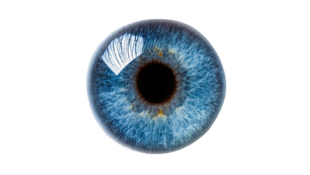 Extreme close-up of a blue human iris with dark pupil