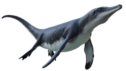 Mosasaurus prehistoric marine reptile with long tail and flippers © Pablo