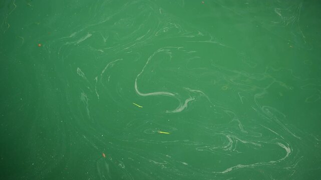 Abstract close up of green seawater with swirling oily patterns and floating debris