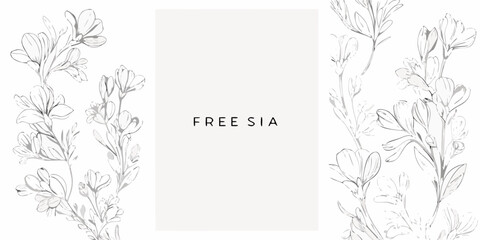 Fototapeta premium Hand Drawn Freesia Flower Collection Featuring Delicate Line Art