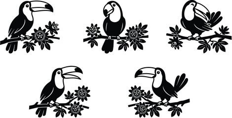 Fototapeta premium Toucans perched on flowering branches in black and white vector illustration silhouette