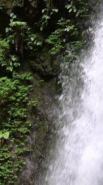 [音付き]岩肌を流れ落ちる滝　マイナスイオンなどの日本の自然のイメージ縦動画