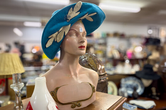 Wide brimmed 1940's - 1950's picture hat. New Look fashion movement. Vivid teal blue felt with decorative cream feathers. Displayed on 1930's plaster bust in antique shop.