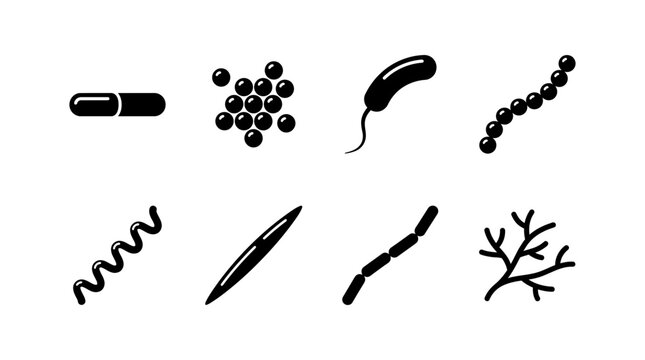 Set of various bacteria and microorganisms icons