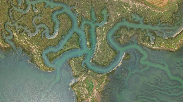 High angle drone view of coastal saltmarsh geography and tidal mudflats displaying natural drainage channels.