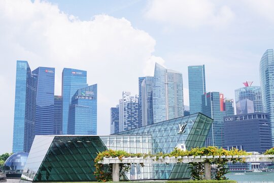 Singapore city skyline and water lily pond for National Day celebration concept