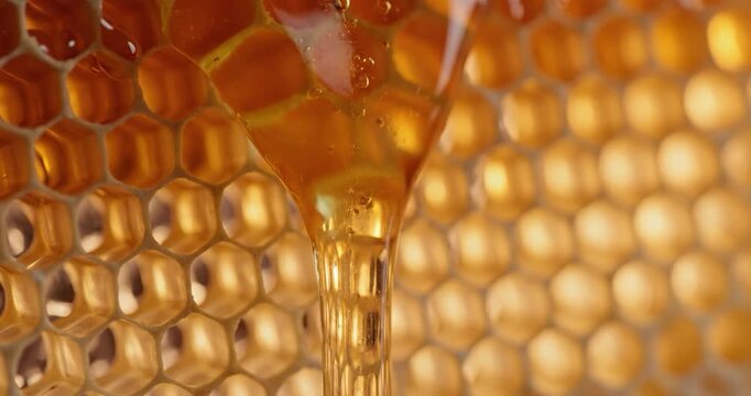 Golden honey dripping from a natural honeycomb in a macro close-up