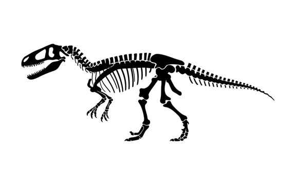 Prehistoric dinosaur bone skeleton silhouette isolated on plain white surface.