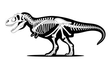 Fototapeta premium Dinosaur skeleton illustration with white bones on black silhouette background.