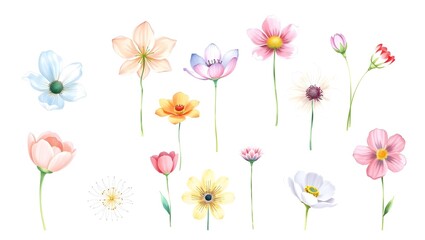 Obraz premium set of pink and yellow flowers illustration