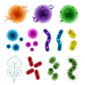 A grid of twelve diverse microorganisms including yeast bacteria and algae in vibrant iridescent colors on a white background concept of microbiology research