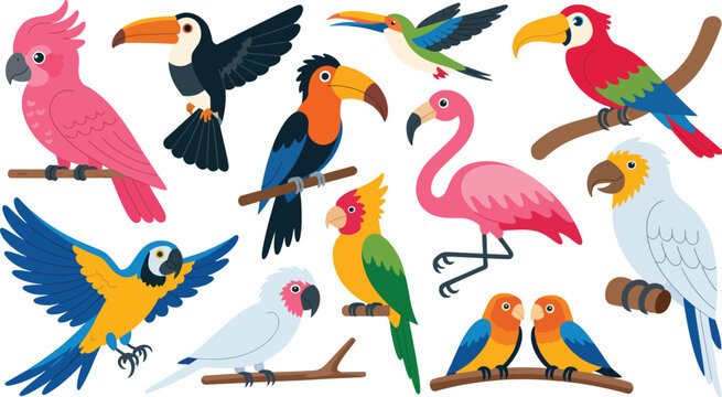Vibrant collection of colorful cartoon birds, including parrots, toucans, flamingos, and macaws on branches.