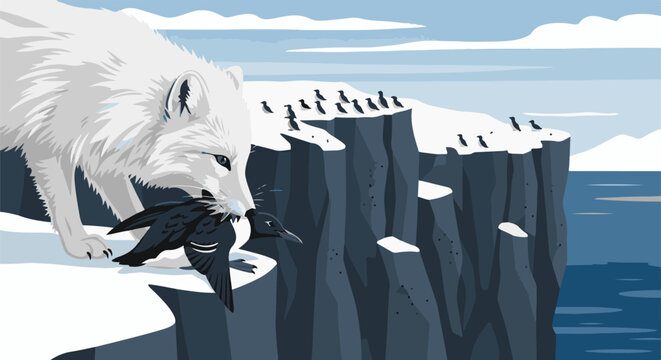 A white wolf carries prey near a cliff edge with birds