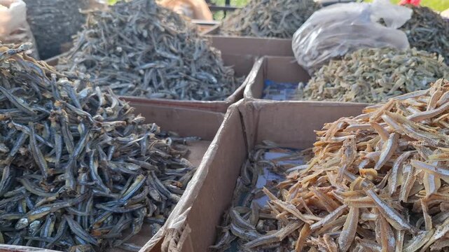 Variations of drysalted anchovies fish or ikan teri in Indonesian language on seller's stall at the rural traditional market