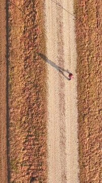 Flying above person walking on macadam road