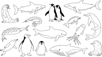 Fototapeta premium Black and white line drawing illustration set of various cute marine animals and sea creatures