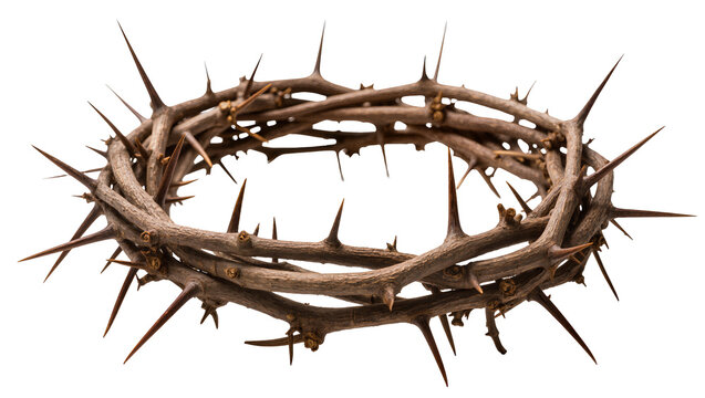 Crown of thorns made of twisted branches and sharp spikes