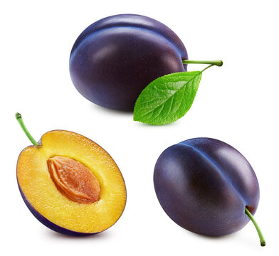 Plum isolated on white background