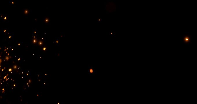 Beautiful metal sparkles gracefully floating against a deep black background. This stunning visual is perfect for enhancing motion graphics and various creative visual effects projects
