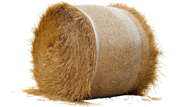Round straw bale with white plastic wrap