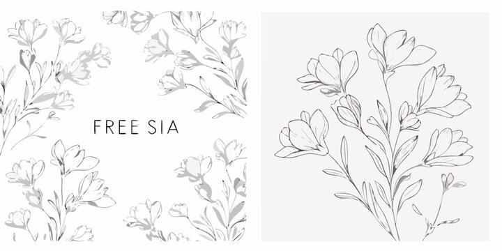 Freesia flower collection hand drawn vector illustration on a white background