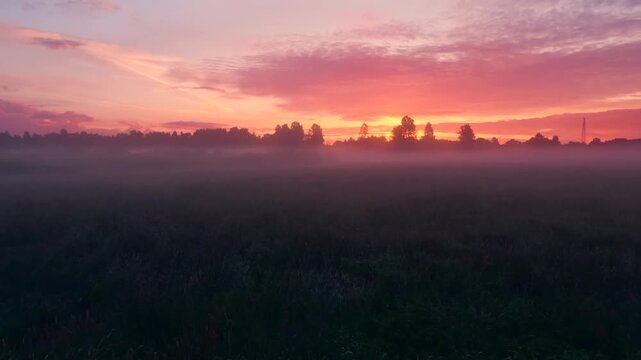 sunrise over the field