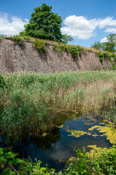 Historic Stone Wall and Reeds