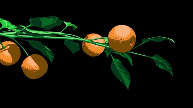 Orange tree branch with green leaves on transparent background