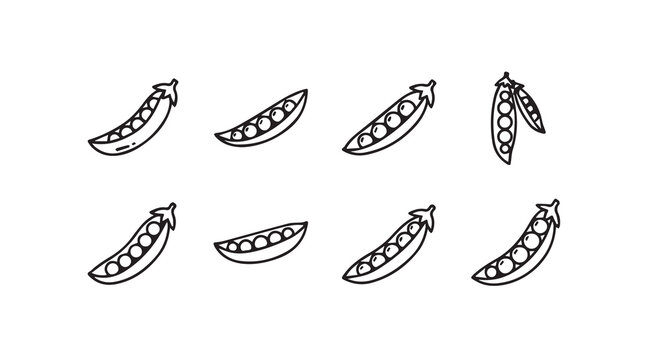 Open pea pods filled with round seeds against a white background in a clean line drawing style