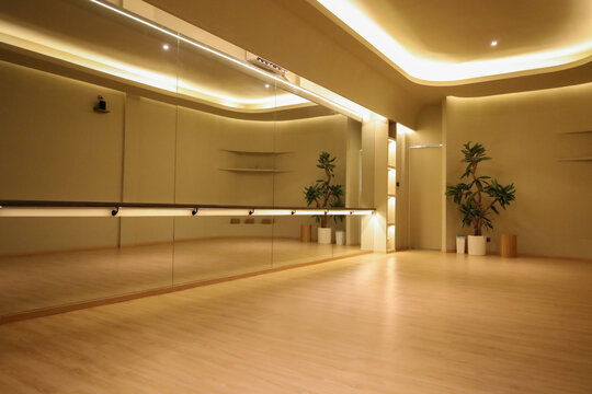 Modern Wellness Space Showcasing A Reflective Mirrored Wall With An Attached Handrail