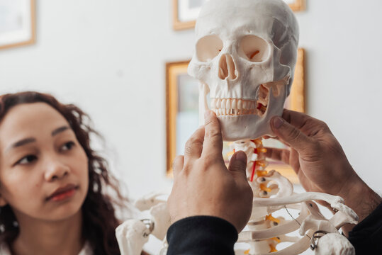 Chiropractor demonstrates jaw alignment and facial anatomy using a skeleton model while educating a young Southeast Asian patient during consultation.