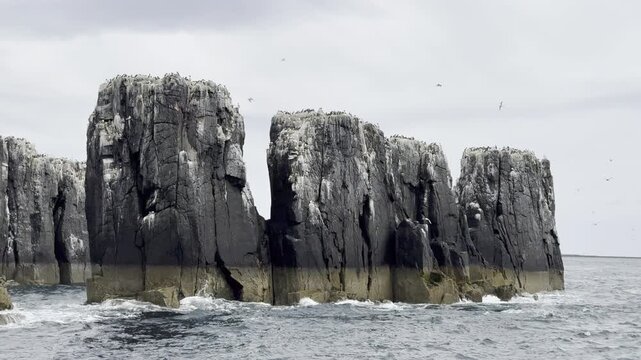 Dramatic sea stacks with seabirds