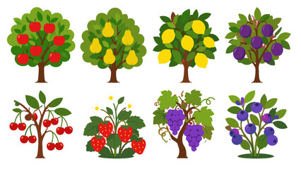 Set of fruit trees and berry plants in flat vector style © Alan
