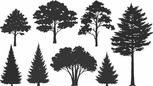 Tree silhouettes against a white background a vector illustration