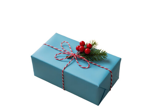 Blue gift box with red berries and pine branch isolated on transparent background