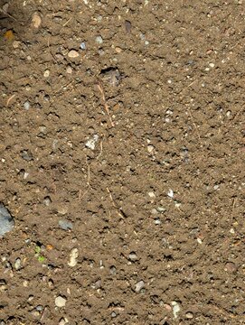 Close-up of natural brown soil with small pebbles, sand particles, and organic debris. Ideal for environmental backgrounds, geology, agriculture, landscaping, and texture design projects.
