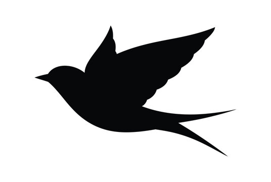 Swallow bird icon illustration in black and white flying left
