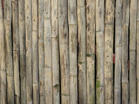 Close-up of a natural bamboo wall featuring vertical stems, subtle joints, earthy tones, and organic texture, suitable for architecture, interior design, sustainable materials, and rustic backgrounds.