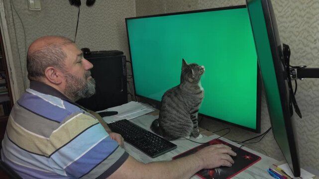 A middle-aged professional strokes his curious pet cat to calm her down while working on a computer setup with two monitors.